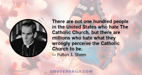 There are not one hundred people in the United States who hate The Catholic Church, but there are millions who hate what they wrongly perceive the Catholic Church to be.