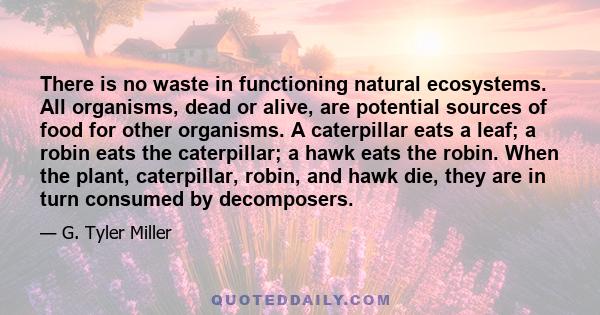 There is no waste in functioning natural ecosystems. All organisms, dead or alive, are potential sources of food for other organisms. A caterpillar eats a leaf; a robin eats the caterpillar; a hawk eats the robin. When