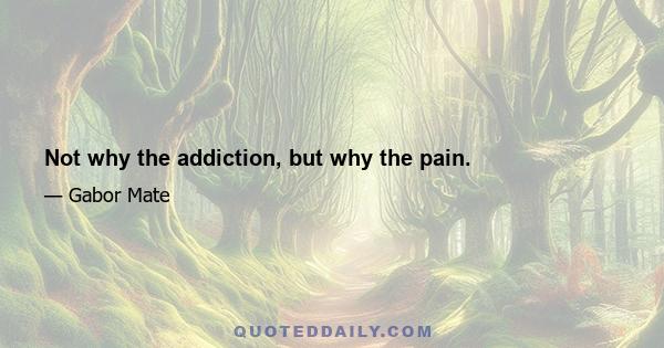 Not why the addiction, but why the pain.