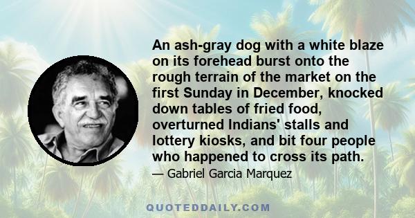 An ash-gray dog with a white blaze on its forehead burst onto the rough terrain of the market on the first Sunday in December, knocked down tables of fried food, overturned Indians' stalls and lottery kiosks, and bit