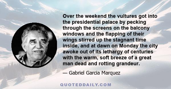 Over the weekend the vultures got into the presidential palace by pecking through the screens on the balcony windows and the flapping of their wings stirred up the stagnant time inside, and at dawn on Monday the city