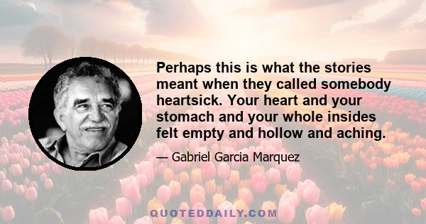 Perhaps this is what the stories meant when they called somebody heartsick. Your heart and your stomach and your whole insides felt empty and hollow and aching.