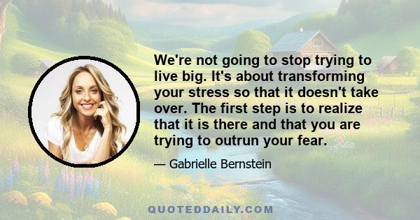 We're not going to stop trying to live big. It's about transforming your stress so that it doesn't take over. The first step is to realize that it is there and that you are trying to outrun your fear.