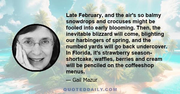 Late February, and the air's so balmy snowdrops and crocuses might be fooled into early blooming. Then, the inevitable blizzard will come, blighting our harbingers of spring, and the numbed yards will go back