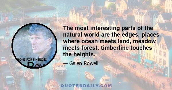 The most interesting parts of the natural world are the edges, places where ocean meets land, meadow meets forest, timberline touches the heights.