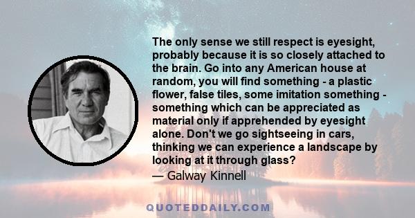 The only sense we still respect is eyesight, probably because it is so closely attached to the brain. Go into any American house at random, you will find something - a plastic flower, false tiles, some imitation