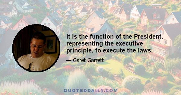 It is the function of the President, representing the executive principle, to execute the laws.