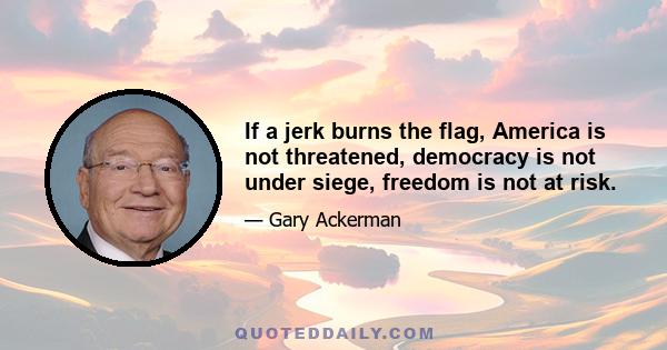 If a jerk burns the flag, America is not threatened, democracy is not under siege, freedom is not at risk.