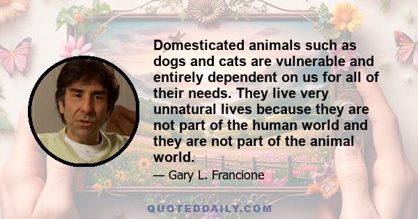 Domesticated animals such as dogs and cats are vulnerable and entirely dependent on us for all of their needs. They live very unnatural lives because they are not part of the human world and they are not part of the