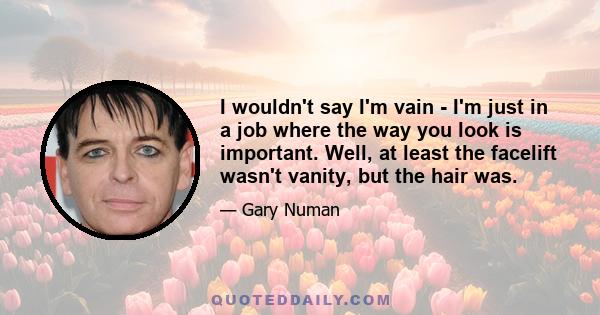 I wouldn't say I'm vain - I'm just in a job where the way you look is important. Well, at least the facelift wasn't vanity, but the hair was.