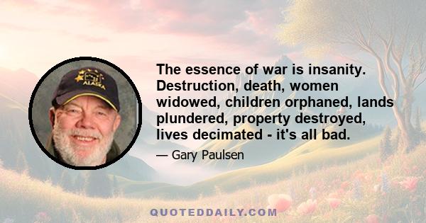 The essence of war is insanity. Destruction, death, women widowed, children orphaned, lands plundered, property destroyed, lives decimated - it's all bad.