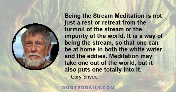 Being the Stream Meditation is not just a rest or retreat from the turmoil of the stream or the impurity of the world. It is a way of being the stream, so that one can be at home in both the white water and the eddies.