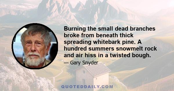 Burning the small dead branches broke from beneath thick spreading whitebark pine. A hundred summers snowmelt rock and air hiss in a twisted bough.