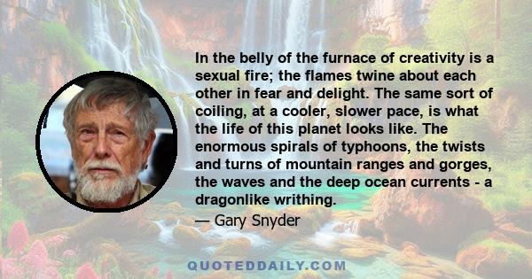 In the belly of the furnace of creativity is a sexual fire; the flames twine about each other in fear and delight. The same sort of coiling, at a cooler, slower pace, is what the life of this planet looks like. The