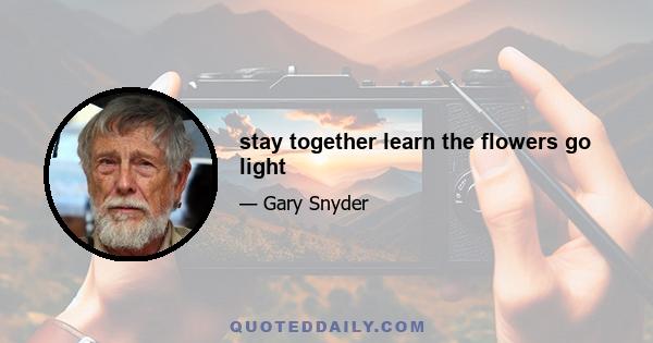 stay together learn the flowers go light