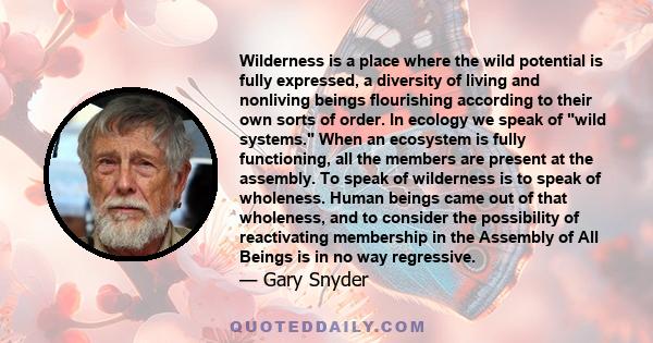 Wilderness is a place where the wild potential is fully expressed, a diversity of living and nonliving beings flourishing according to their own sorts of order. In ecology we speak of wild systems. When an ecosystem is