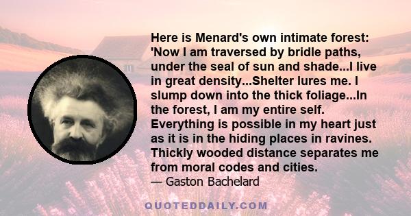 Here is Menard's own intimate forest: 'Now I am traversed by bridle paths, under the seal of sun and shade...I live in great density...Shelter lures me. I slump down into the thick foliage...In the forest, I am my