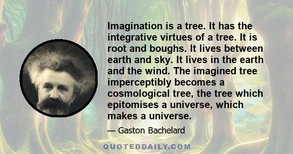 Imagination is a tree. It has the integrative virtues of a tree. It is root and boughs. It lives between earth and sky. It lives in the earth and the wind. The imagined tree imperceptibly becomes a cosmological tree,