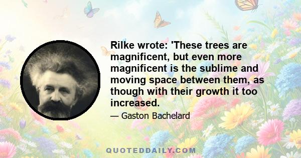 Rilke wrote: 'These trees are magnificent, but even more magnificent is the sublime and moving space between them, as though with their growth it too increased.