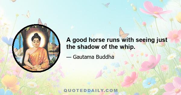 A good horse runs with seeing just the shadow of the whip.