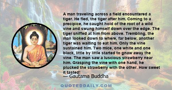 A man traveling across a field encountered a tiger. He fled, the tiger after him. Coming to a precipice, he caught hold of the root of a wild vine and swung himself down over the edge. The tiger sniffed at him from