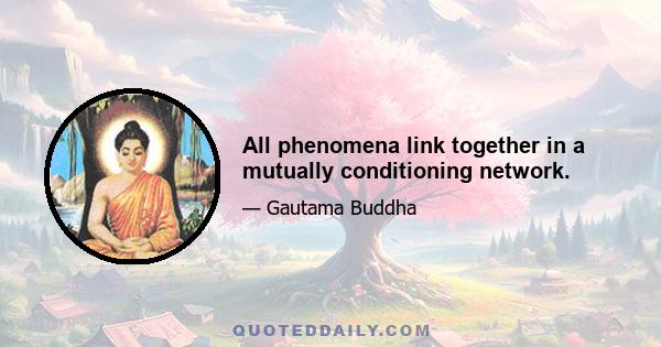 All phenomena link together in a mutually conditioning network.