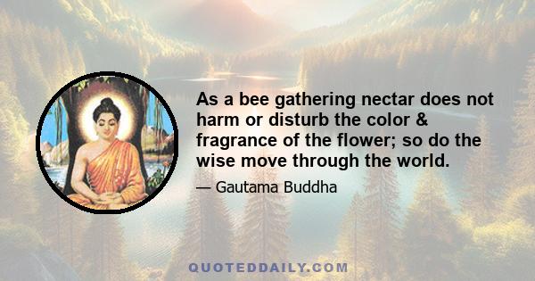 As a bee gathering nectar does not harm or disturb the color & fragrance of the flower; so do the wise move through the world.