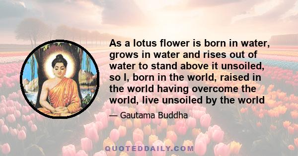 As a lotus flower is born in water, grows in water and rises out of water to stand above it unsoiled, so I, born in the world, raised in the world having overcome the world, live unsoiled by the world