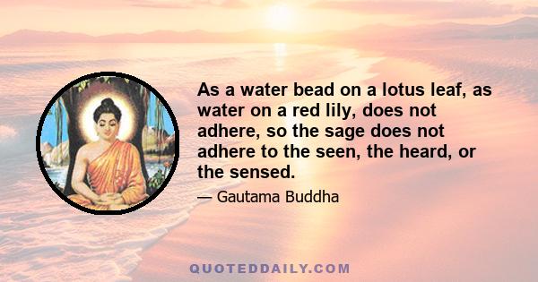 As a water bead on a lotus leaf, as water on a red lily, does not adhere, so the sage does not adhere to the seen, the heard, or the sensed.