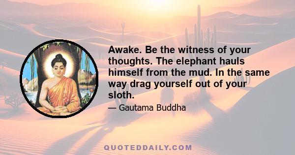 Awake. Be the witness of your thoughts. The elephant hauls himself from the mud. In the same way drag yourself out of your sloth.