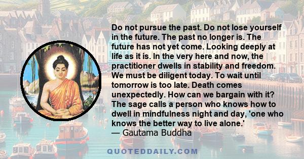 Do not pursue the past. Do not lose yourself in the future. The past no longer is. The future has not yet come. Looking deeply at life as it is. In the very here and now, the practitioner dwells in stability and