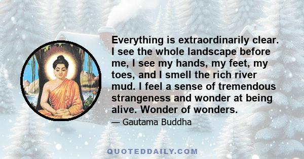 Everything is extraordinarily clear. I see the whole landscape before me, I see my hands, my feet, my toes, and I smell the rich river mud. I feel a sense of tremendous strangeness and wonder at being alive. Wonder of