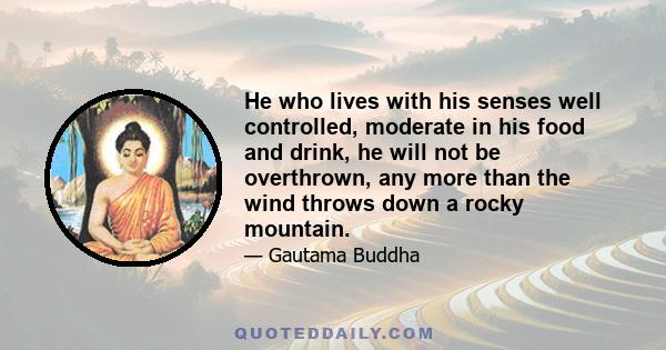 He who lives with his senses well controlled, moderate in his food and drink, he will not be overthrown, any more than the wind throws down a rocky mountain.