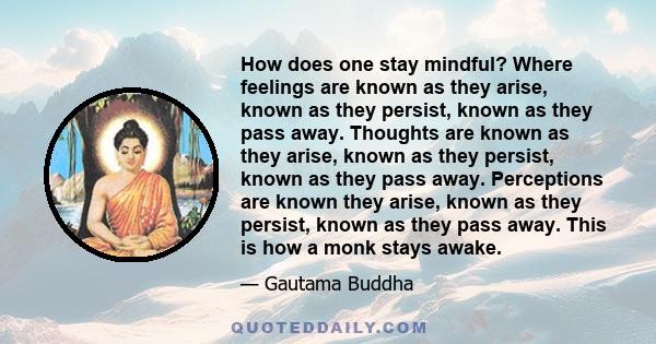 How does one stay mindful? Where feelings are known as they arise, known as they persist, known as they pass away. Thoughts are known as they arise, known as they persist, known as they pass away. Perceptions are known