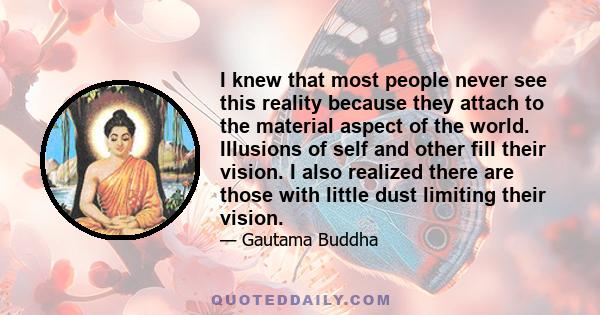 I knew that most people never see this reality because they attach to the material aspect of the world. Illusions of self and other fill their vision. I also realized there are those with little dust limiting their