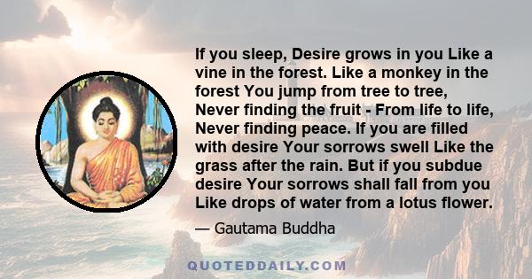 If you sleep, Desire grows in you Like a vine in the forest. Like a monkey in the forest You jump from tree to tree, Never finding the fruit - From life to life, Never finding peace. If you are filled with desire Your