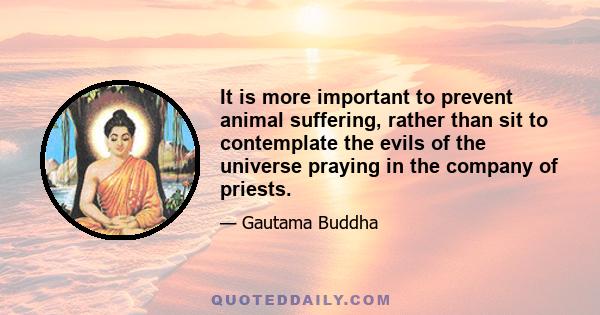 It is more important to prevent animal suffering, rather than sit to contemplate the evils of the universe praying in the company of priests.