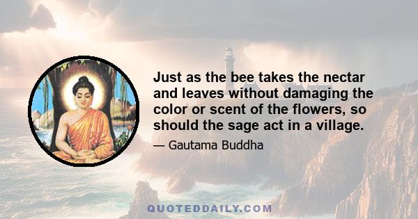 Just as the bee takes the nectar and leaves without damaging the color or scent of the flowers, so should the sage act in a village.