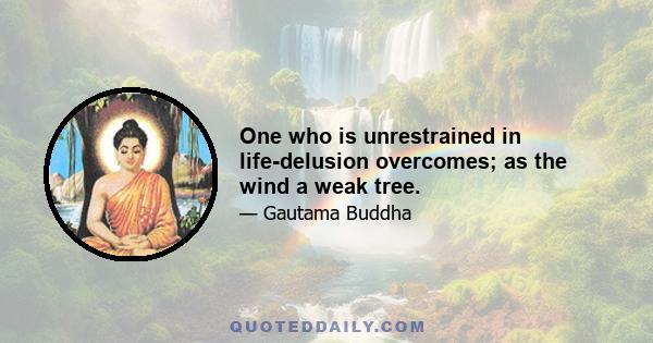 One who is unrestrained in life-delusion overcomes; as the wind a weak tree.