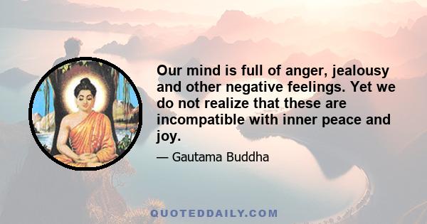 Our mind is full of anger, jealousy and other negative feelings. Yet we do not realize that these are incompatible with inner peace and joy.