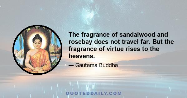 The fragrance of sandalwood and rosebay does not travel far. But the fragrance of virtue rises to the heavens.