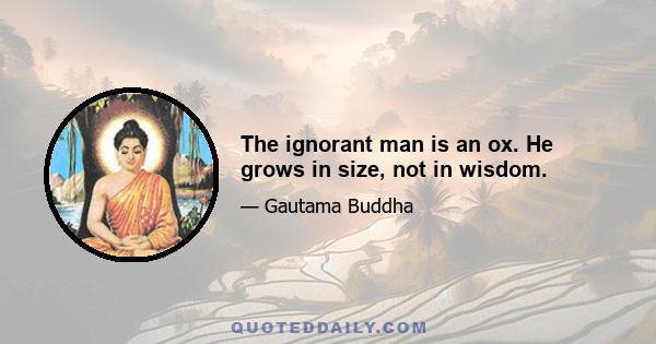 The ignorant man is an ox. He grows in size, not in wisdom.