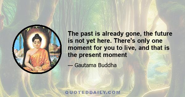 The past is already gone, the future is not yet here. There's only one moment for you to live, and that is the present moment