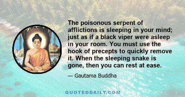 The poisonous serpent of afflictions is sleeping in your mind; just as if a black viper were asleep in your room. You must use the hook of precepts to quickly remove it. When the sleeping snake is gone, then you can