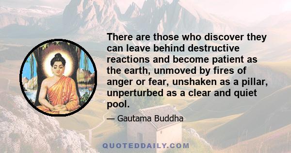 There are those who discover they can leave behind destructive reactions and become patient as the earth, unmoved by fires of anger or fear, unshaken as a pillar, unperturbed as a clear and quiet pool.