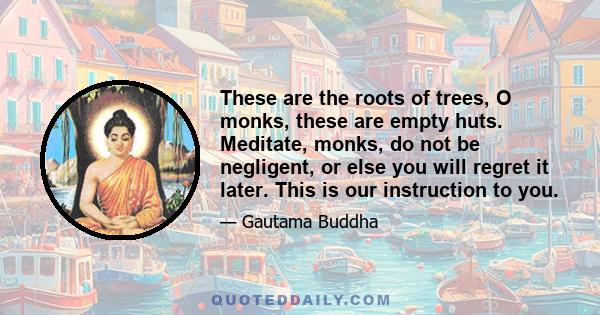 These are the roots of trees, O monks, these are empty huts. Meditate, monks, do not be negligent, or else you will regret it later. This is our instruction to you.