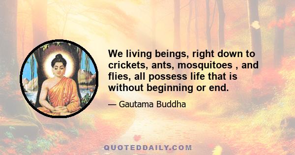 We living beings, right down to crickets, ants, mosquitoes , and flies, all possess life that is without beginning or end.