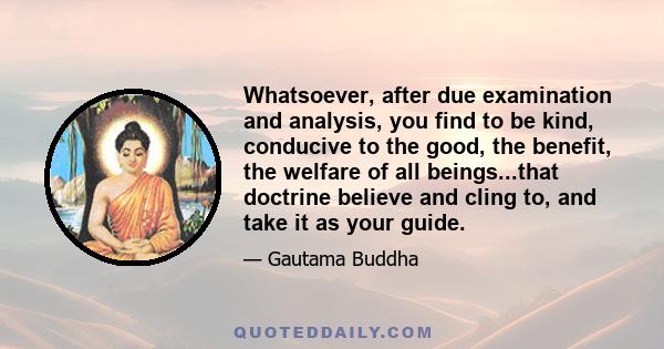 Whatsoever, after due examination and analysis, you find to be kind, conducive to the good, the benefit, the welfare of all beings...that doctrine believe and cling to, and take it as your guide.