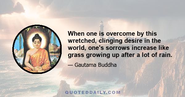 When one is overcome by this wretched, clinging desire in the world, one's sorrows increase like grass growing up after a lot of rain.