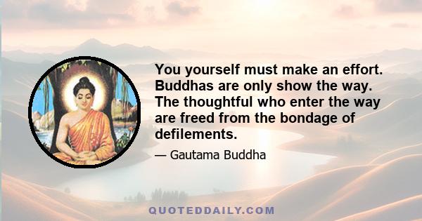 You yourself must make an effort. Buddhas are only show the way. The thoughtful who enter the way are freed from the bondage of defilements.